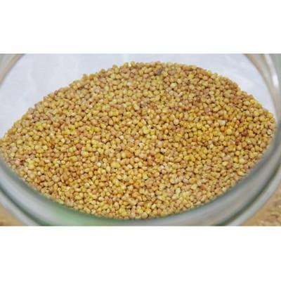 ふるさと納税 長和町 信濃霧山ダッタンそばセット　A-2 |  | 01