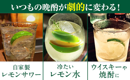 グリーンレモン 約2kg ときわオンライン【先行予約】《2026年10月上旬-2027年2月末頃出荷》 柑橘 和歌山県 紀の川市 フルーツ 果物 レモン グリーンレモン 檸檬 送料無料