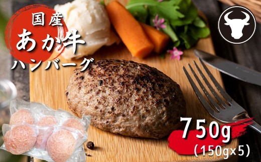 
ハンバーグ 旨味凝縮あか牛100％ハンバーグ　750ｇ（150ｇ×５個）
