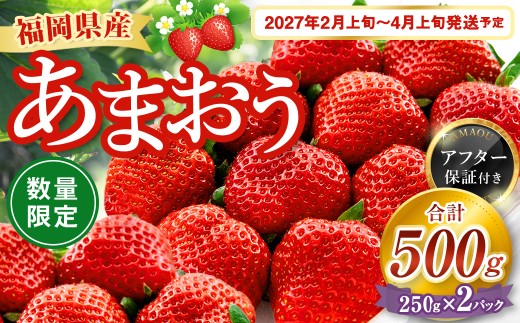 【数量限定】 福岡県産 あまおう 計500g 250g×2パック 【2027年2月上旬～4月上旬発送予定】 苺 イチゴ いちご 果物 フルーツ 果実 国産 アフター保証 アフター対応 福岡県 遠賀町 
