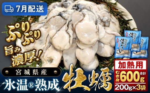 【7月配送】 加熱用 氷温熟成かき 200g × 3p むき身 冷凍 牡蠣 小分け むき カキ 冷凍かき 加熱用 加熱 宮城 小分け 冷凍 バラバラ冷凍 冷凍カキ かき 牡蠣 海鮮 魚介 貝類 海の幸 BBQ 家庭用 まるたか水産 宮城県 石巻市