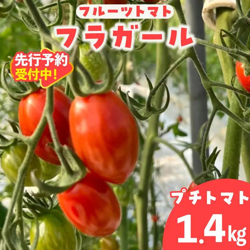 【先行予約】【2027年1月中旬以降発送】フルーツトマト　フラガール1.4kg（へたなし）｜ミニトマト 野菜 常滑市