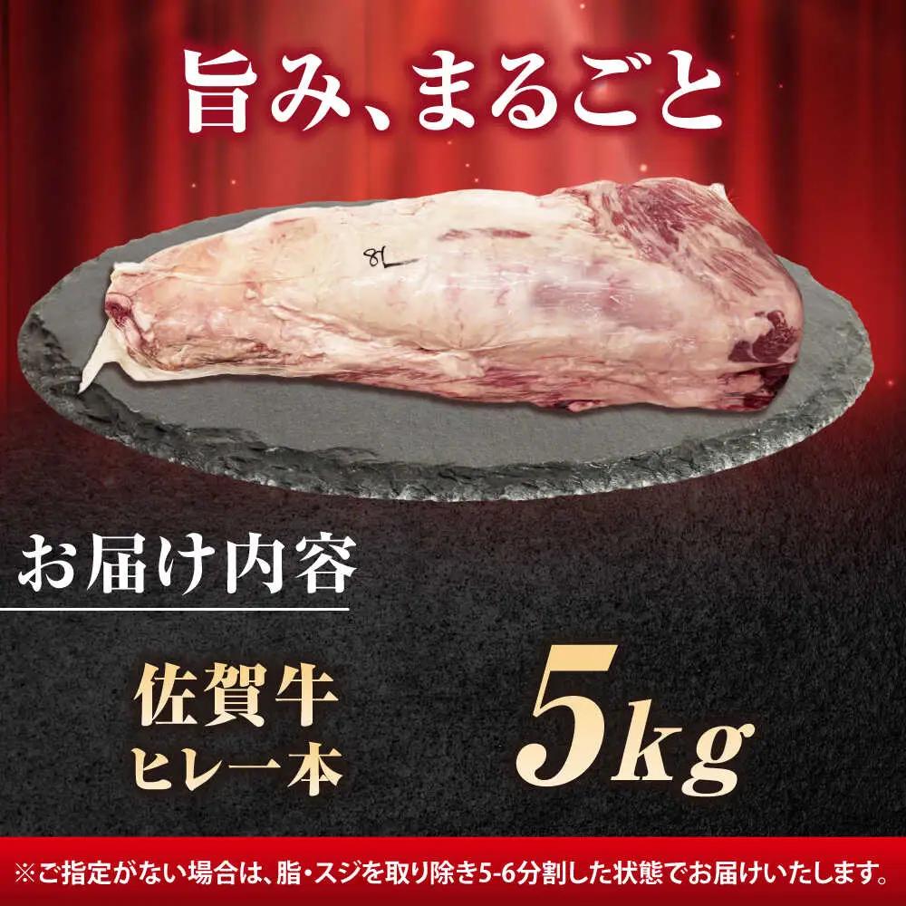 厳選佐賀牛ヒレ1本5kg / 有限会社片岡精肉店 [41AEAC013]