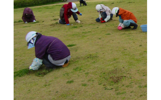 
燕市シルバー人材センター利用サービス(庭の草取りサービス 10坪程度) FC034006
