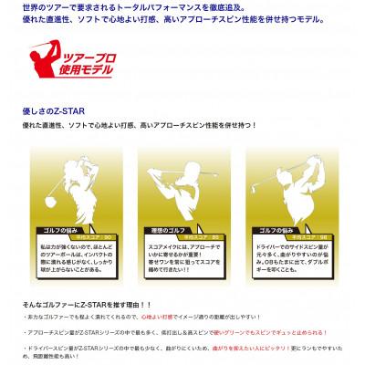 ふるさと納税 丹波市 ゴルフボール　スリクソン　Z-STAR9　ホワイト【3ダース】 |  | 01