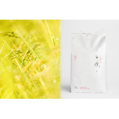 ふるさと納税 南魚沼市 【令和7年産新米】南魚沼君沢産こしひかり　白燦々5kg【白米】(従来品種) |  | 02