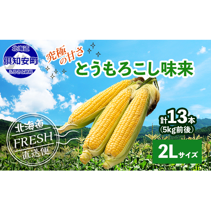 北海道 倶知安町 とうもろこし 味来 みらい 北海道 5kg 2Lサイズ 大きめ 夏野菜 とうきび 旬 新鮮 野菜 トウモロコシ ギフト 産地直送 産直 お取り寄せ 詰め合わせ 送料無料 13本 高糖