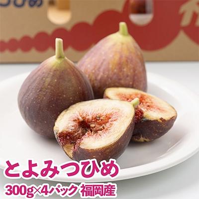 ふるさと納税 粕屋町 福岡限定!ブランドいちじく「とよみつひめ」約300g×4パック(粕屋町)