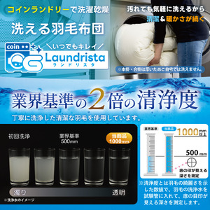【春夏用】洗える羽毛布団 シングル 肌掛け ダウン 夏 春 布団 ホワイトダックダウン 85% 0.3kg (無地 ブラウン) [川村羽毛 山梨県 韮崎市 20743636]