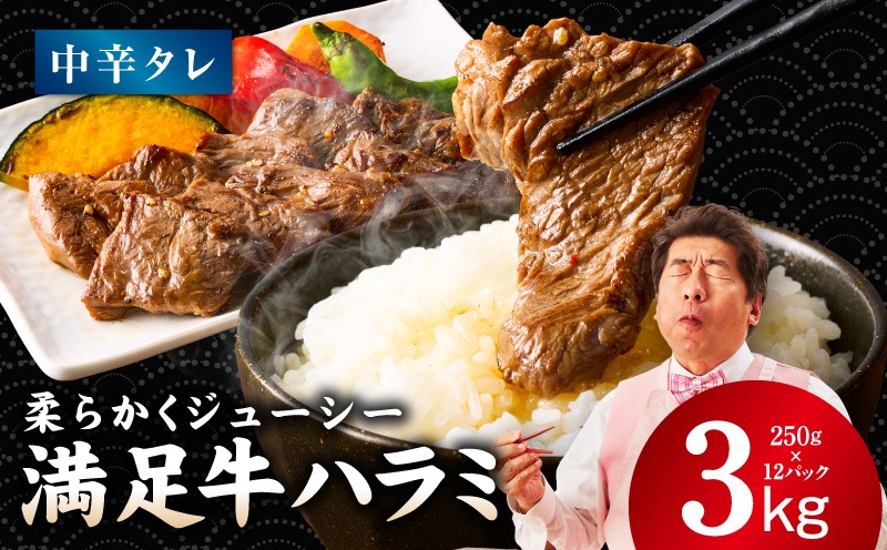 099H4200 【満足牛ハラミ】中辛タレ漬け 合計3kg 【味付け ハラミ 小分け 焼くだけ 簡単調理 BBQ 牛肉 250g×12P 普段使い】