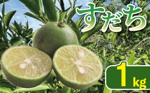 すだち 1kg すだちゼリー すだち果汁 すだち酢 徳島県産すだち 柑橘 果物 くだもの フルーツ 旬 期間限定 川島えがお倶楽部 2026年8月上旬～発送予定 徳島県 吉野川市