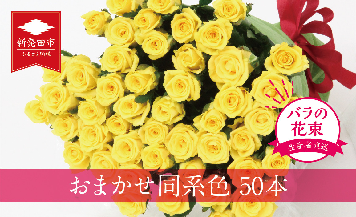 
生産者直送！バラの花束 お任せ同系色50本 【 バラ 生花 花束 フラワーアレンジメント 記念日 母の日 父の日 ギフト プレゼント 花 50本 同色系 G04 】
