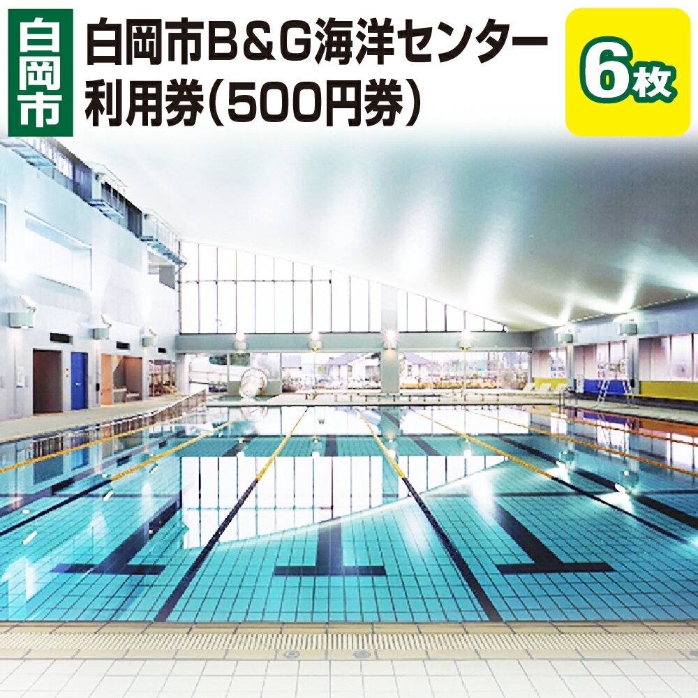 【ふるさと納税】白岡市B&G海洋センター利用券 500円券×6枚 埼玉県白岡市 | 温水プール 施設利用券 プールチケット 25mプール ウォータースライダー ジャグジー 幼児用プール 屋内プール 通年利用 有効期限1年 健康づくり レジャー 運動 休日