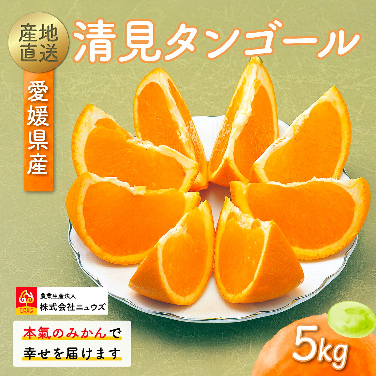 【ふるさと納税】【先行予約】産地直送！愛媛県産清見タンゴール 5kg（2027年2月上旬より順次発送） 【 ふるさと納税 人気 おすすめ ランキング みかん ミカン 蜜柑 清見タンゴール フルーツ 果物 産地直送 ニュウズ 愛媛県産 愛媛県 伊方町 送料無料 】 IKTF022