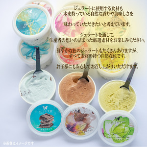 プレミアム ジェラート 6個 セット 各120ml  静岡 長泉町 ジェラート