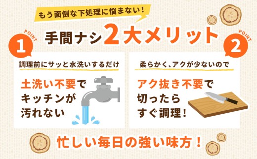 鹿児島県産 洗い【太い】 ごぼう 約3kg 【規格外・訳あり品】【2026年12月上旬-3月下旬発送予定】 ZS-9100
