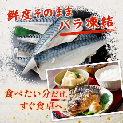 ふるさと納税 羽島市 【訳あり】ノルウェー産　塩さば　フィレ　約4kg |  | 01