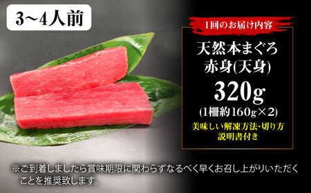 【全3回定期便】たね熟天然本まぐろ赤身(320g) [AOCE013] まぐろ