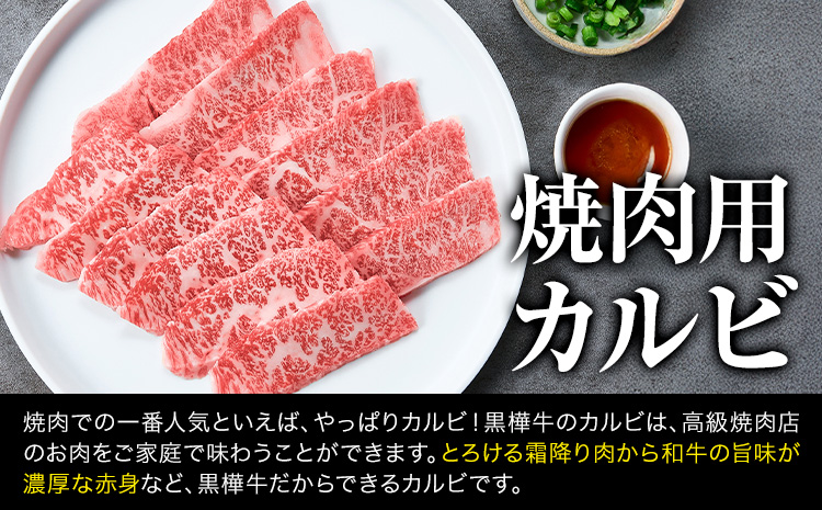 熊本県産黒毛和牛　黒樺牛焼肉用カルビ・モモ・切り落としセット　しょうゆタレ付 肉好き必見 黒毛和牛 黒樺牛 肉 牛肉 焼肉 カルビ モモ 切り落とし 国産 専門店 熊本県 贈答 ギフト お中元 お歳暮