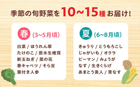 高槻野菜セット（10〜15種）[AOCS006]野菜セット