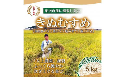 ＜令和7年産＞大上農園のきぬむすめ(精米・5kg) 【鳥取県 境港市】