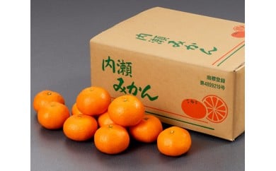 先行予約 みかん 温州みかん 約5kg 数量限定 期間限定 内瀬みかん アサヒ農園 柑橘 蜜柑 フルーツ 果物 くだもの 国産 ブランド 三重県 伊勢 志摩 南伊勢町 20000円 2万円