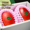 【ふるさと納税】宮崎完熟マンゴー 2L×2個【鉢植栽培】【数量限定】西都市