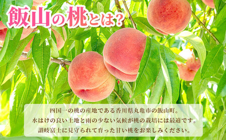 【先行予約】桃 約 4kg もも モモ 白桃 ピーチ 桃 桃 桃