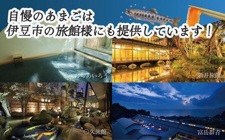 おつまみにどうぞ！紅姫あまごのスモークサーモン（サーモン スモークサーモン 燻製 サーモン お酒 ワイン スモークサーモン 自家燻製 伊豆 薫り高い スモークサーモン サーモンレシピ タンパク質 栄養