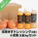 【ふるさと納税】【アクアヴェルデAWAJI】戎珠ゆずドレッシング（人参2本）・（ゴマ2本）＆戎珠（玉葱）3kgセット