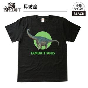 恐竜・古代生物Tシャツ　丹波竜 050　サイズ100（キッズ・ユニセックス）