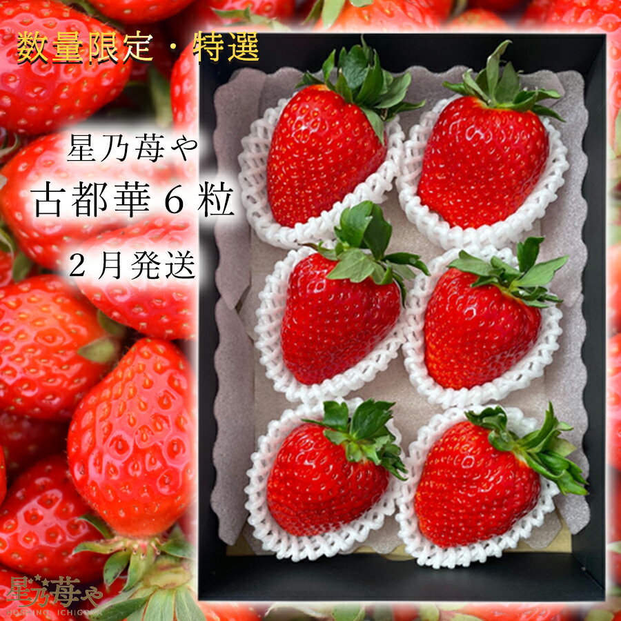 【ふるさと納税】先行予約 特選大粒いちご 奈良県のいちご古都華1パック 2026年2月発送 // /苺 いちご イチゴ 古都華 奈良 奈良県 広陵町 生産者直送 直送 厳選 数量限定 旬 フルーツ 甘い 完熟 果物