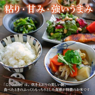 ふるさと納税 小浜市 【福井県産】無洗米こしひかり2合(約300g)×10パック(精米)　計3kg |  | 02