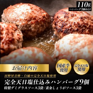食べ比べ！完全天日塩仕込みハンバーグ3種各3個セット 完全天日塩 特製デミグラス 黄金しょうがソース付き