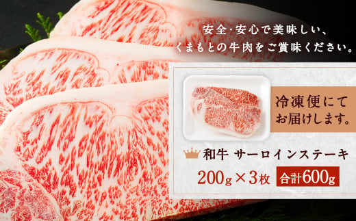 和牛 サーロイン ステーキ 600g（200g×3枚）黒毛和牛 牛肉