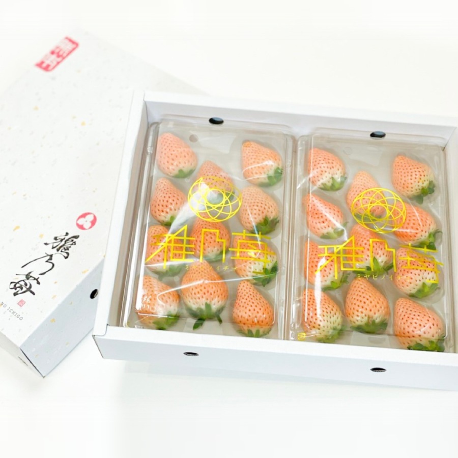 雅乃苺 淡雪 （いちご）大粒（三越伊勢丹選定）