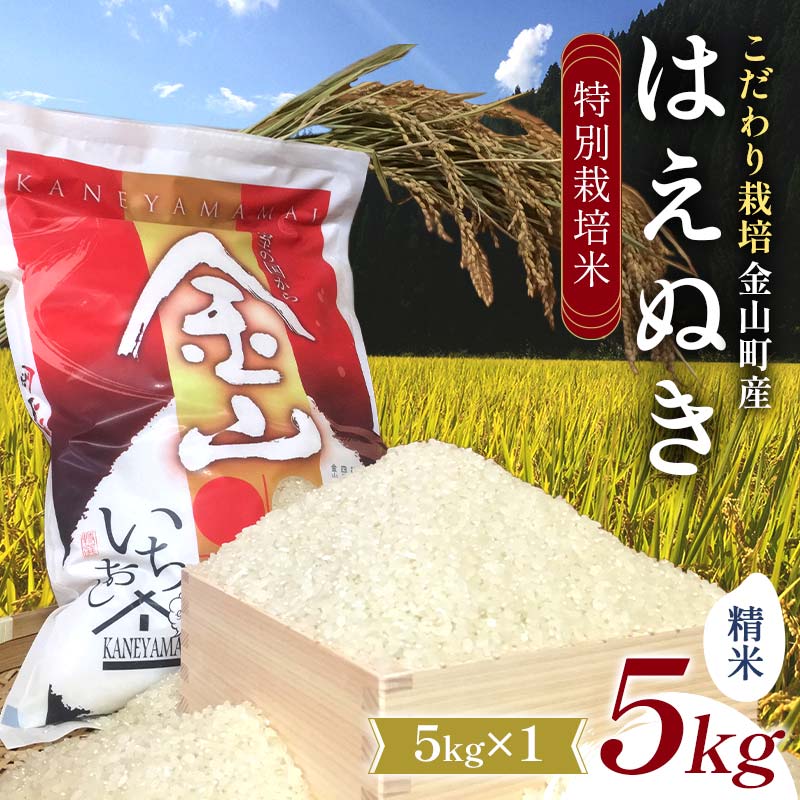 【ふるさと納税】＼令和7年度産・数量限定／ 特別栽培米 はえぬき 精米5kg 米 お米 ご飯 ブランド米 F4B-0753