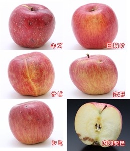 A-36 りんご サンふじ※訳あり品※ 約10kg【20～40玉】