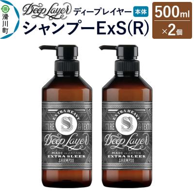 ふるさと納税 滑川町 ディープレイヤー シャンプー ExS 500mL×2個|19_sss-250201