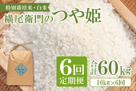 D-1114 【定期便】横尾衛門のつや姫 白米 10kg×6回コース【新米 定期便 定期 6回 米 お米 白米 精米 特別栽培米 低農薬 低化学肥料 ブランド米 つや姫 10kg×6回 合計60kg】