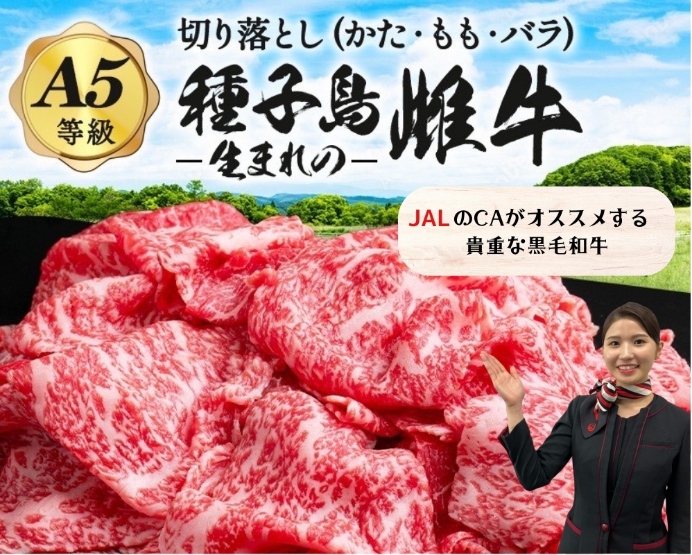 【JALのCAおすすめ】「自慢の逸品」西之表市生まれの黒毛和牛 切り落とし 肉 （ 200g×5パック）  NFN539 【300pt 】 // 最高級 赤身 切り落とし肉 かた 肩 もも バラ イノ