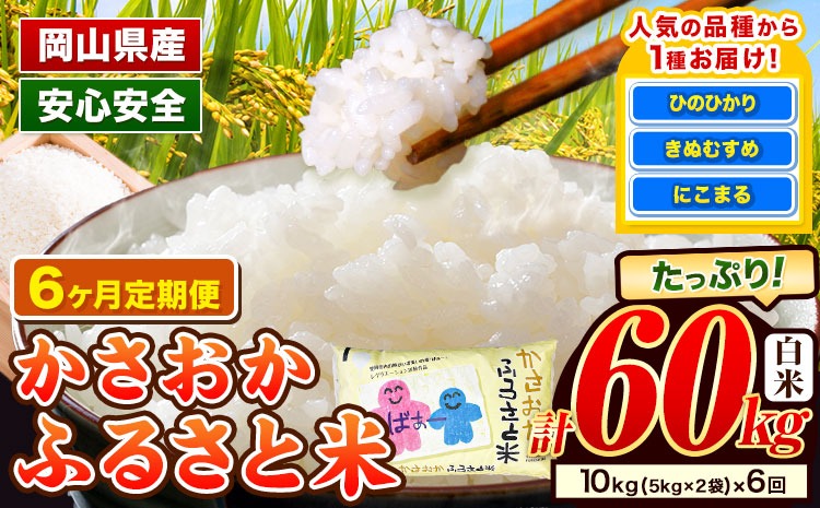 【令和8年1月〜令和8年6月発送】【先行予約】令和7年産 10kg×6ヶ月定期便 米 予約 ふるさと米 備中笠岡 人気品種をお届け！ 国産 ヒノヒカリ にこまる きぬむすめ お米 ブランド米 おにぎり 弁当 単一原料米 お取り寄せ 送料無料 岡山県産---R7-10k-6M-R0801a---