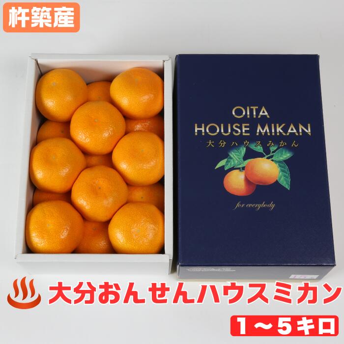 【ふるさと納税】大分おんせんハウスミカン 1kg～5kg ＜132-702＞
