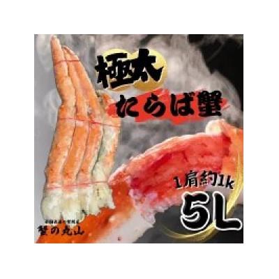 ふるさと納税 泉南市 ★【極太5Lサイズ】ボイルたらば蟹 1肩 約1kg