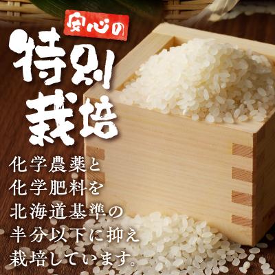 ふるさと納税 滝川市 《令和7年産》特別栽培米ななつぼし 5kg 特A 減農薬 白米 ブランド米 北海道滝川市 |  | 01