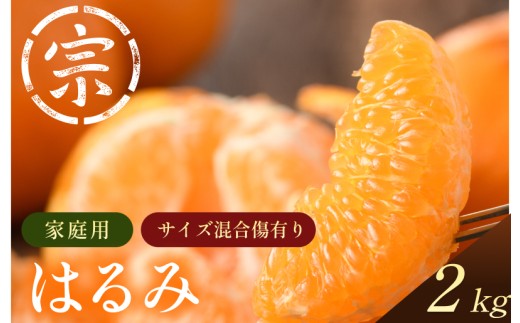 【先行予約】はるみ（家庭用）約2kg【K003580K2】2027年1月中旬～2月上旬に順次発送予定 愛媛県 今治市 先行予約 今治産 宗方 みかん フルーツ 甘い 柑橘 果物 愛媛みかん ふるさと納税 宗方印