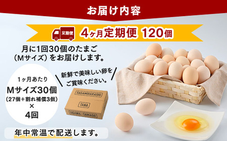 【4ヶ月定期便】【毎月後半発送】相模原市田名のおがわのたまご　ピンク卵 Mサイズ 30個(27個＋割れ補償3個)×4か月| 卵 鶏卵 玉子 たまご 生卵 国産 濃厚 コク 旨味 旨み