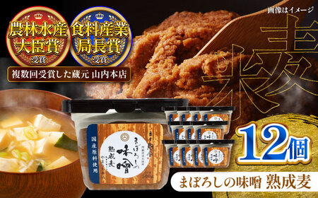 まぼろしの味噌 熟成麦 500g×12個セット 味噌 味噌 味噌 味噌  味噌[BHAE021]