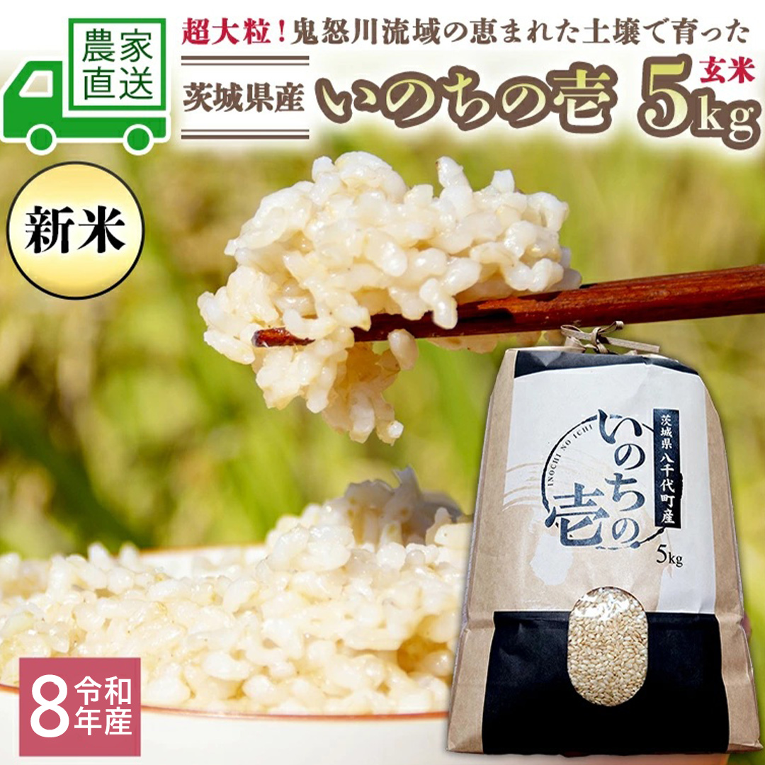 令和8年産 新米 茨城県産 いのちの壱 5kg 玄米 米 こめ コメ 茨城県 国産 いばらき 単一米 単一原料米 大粒 農家直送 [BG017ya]