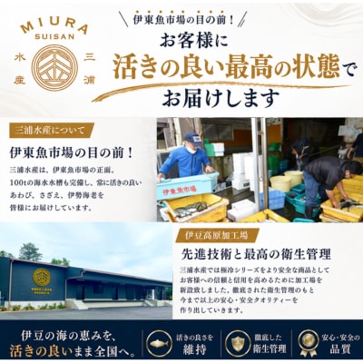 極　潮風そそる海鮮飯　あわび(2合炊き)【配送不可地域：離島】